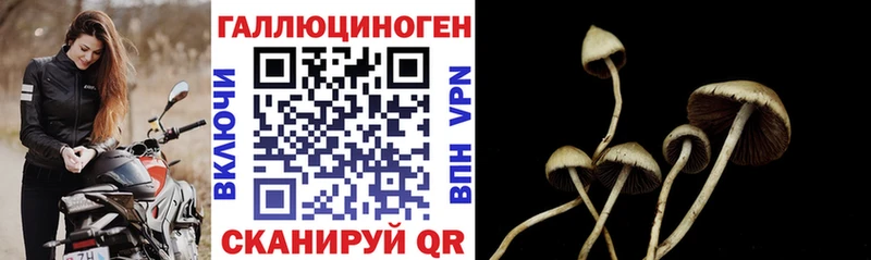 Псилоцибиновые грибы ЛСД  kraken ссылки  Владивосток 
